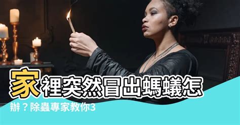 家裡突然出現很多螞蟻|窗邊、廚房...家裡突然冒出一大堆螞蟻怎麼辦？消滅螞。